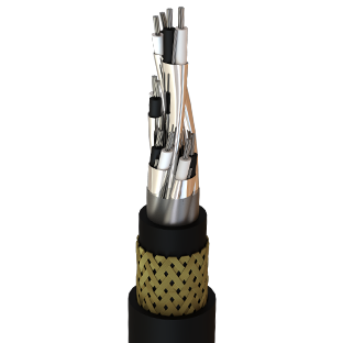 RigFlex-125 Type P Signal Cable Individually Shielded Armoured and Sheated